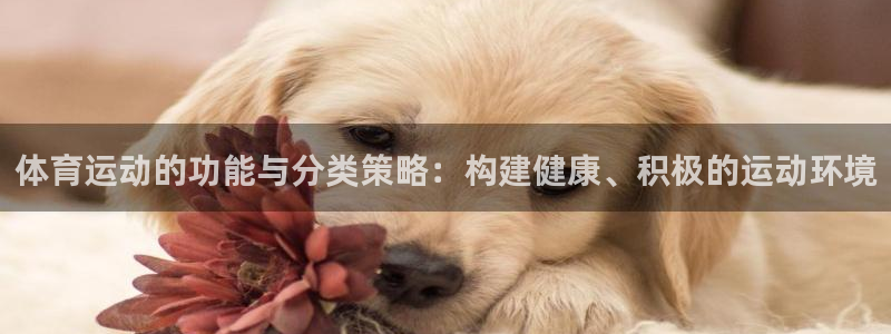 黑白体育在线直播免费下载：体育运动的功能与分类策略：构建健康、积极的运动环境