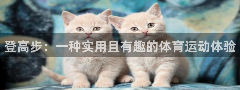 黑白体育在线直播免费下载：登高步：一种实用且有趣的体育运动体验
