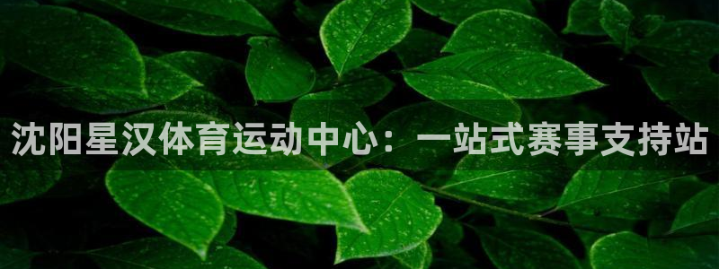 黑白体育免费直播：沈阳星汉体育运动中心：一站式赛事支持站